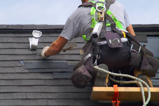 Best Shingle Roofing Installation  in Montezuma, GA